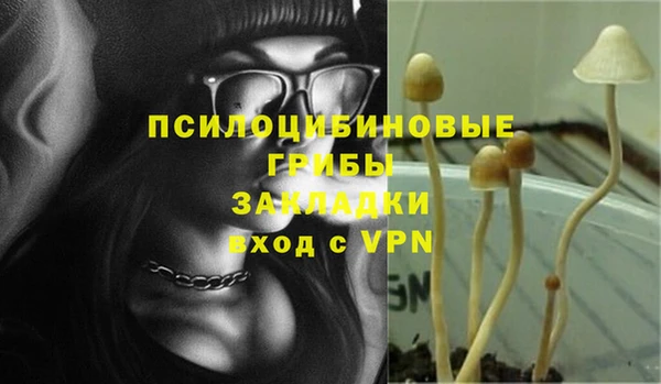 крисы Алзамай
