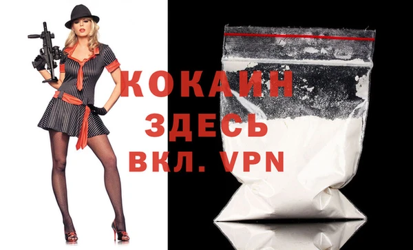 крисы Алзамай