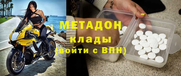 индика Арсеньев